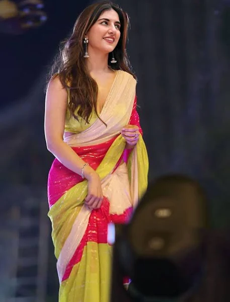 Striped Sequinned Pure Georgette Saree - Image 2